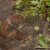 Tigerville Snake Removal by Panther Pest Control LLC